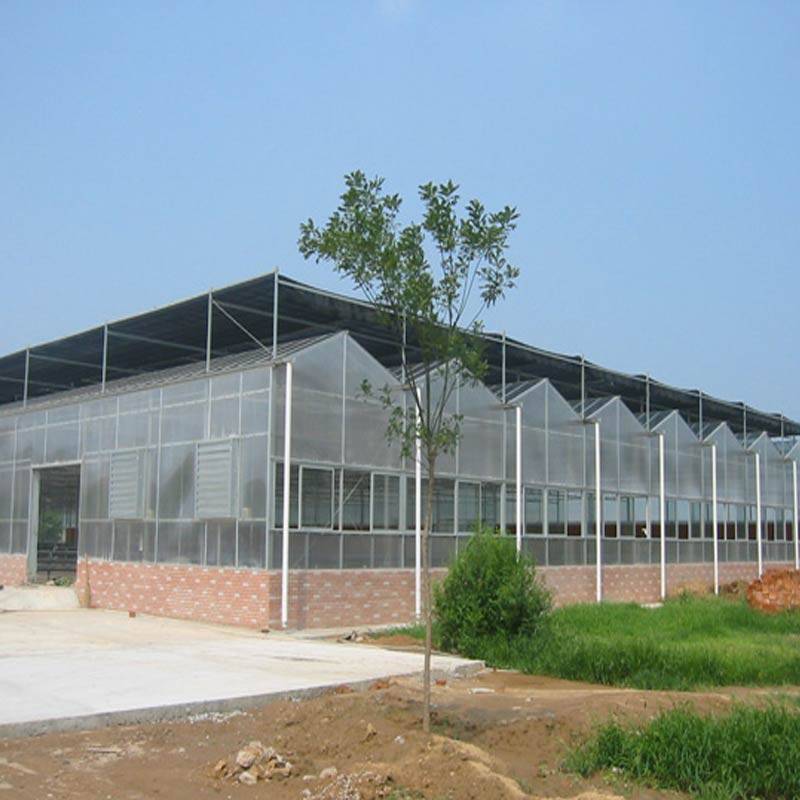 温室大棚